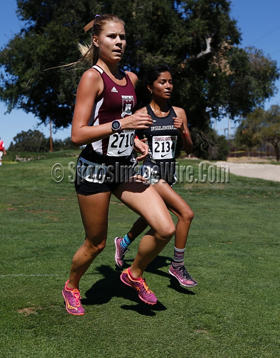 2015SIxcHSD2-167.JPG - 2015 Stanford Cross Country Invitational, September 26, Stanford Golf Course, Stanford, California.